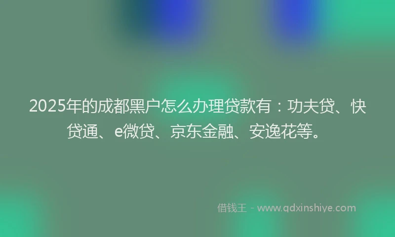 2025年的成都黑户怎么办理贷款有：功夫贷、快贷通、e微贷、京东金融、安逸花等。