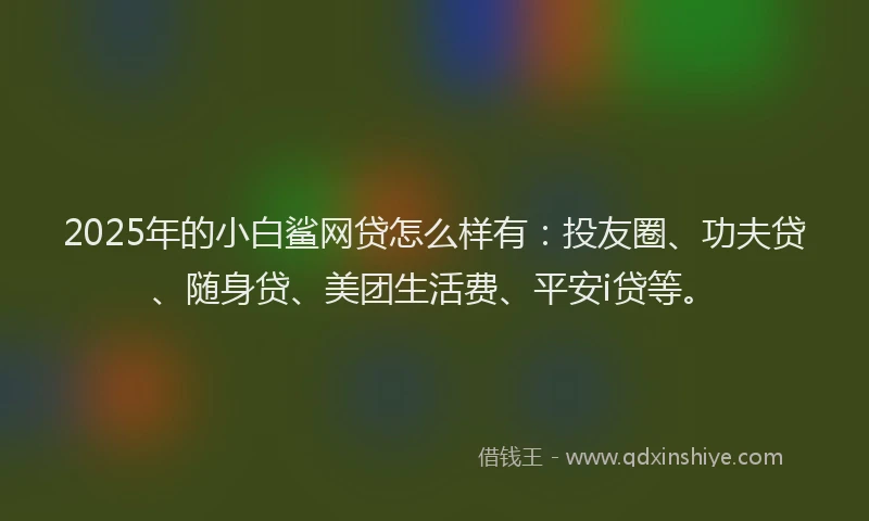 2025年的小白鲨网贷怎么样有：投友圈、功夫贷、随身贷、美团生活费、平安i贷等。