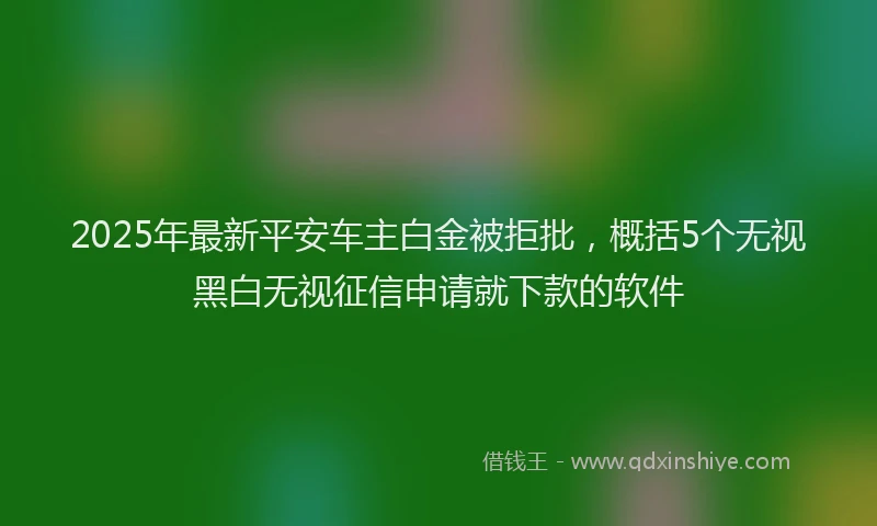 2025年最新平安车主白金被拒批，概括5个无视黑白无视征信申请就下款的软件