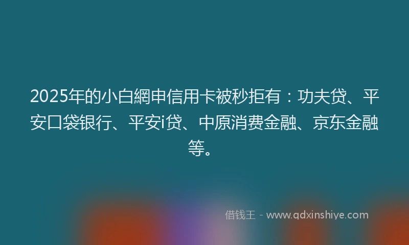 2025年的小白網申信用卡被秒拒有：功夫贷、平安口袋银行、平安i贷、中原消费金融、京东金融等。