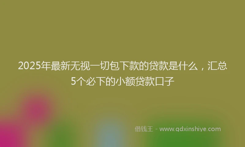 2025年最新无视一切包下款的贷款是什么，汇总5个必下的小额贷款口子