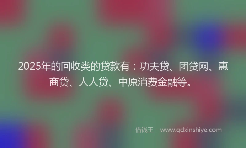 2025年的回收类的贷款有：功夫贷、团贷网、惠商贷、人人贷、中原消费金融等。