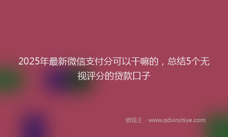 2025年最新微信支付分可以干嘛的，总结5个无视评分的贷款口子