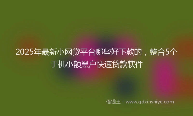 2025年最新小网贷平台哪些好下款的，整合5个手机小额黑户快速贷款软件