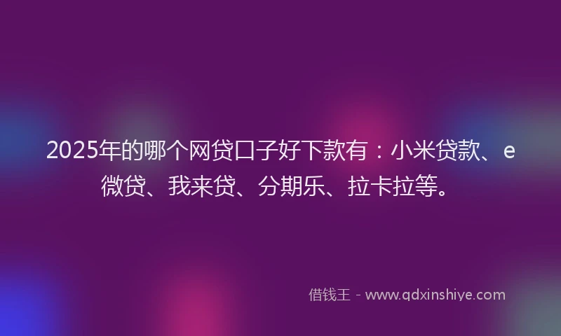 2025年的哪个网贷口子好下款有：小米贷款、e微贷、我来贷、分期乐、拉卡拉等。