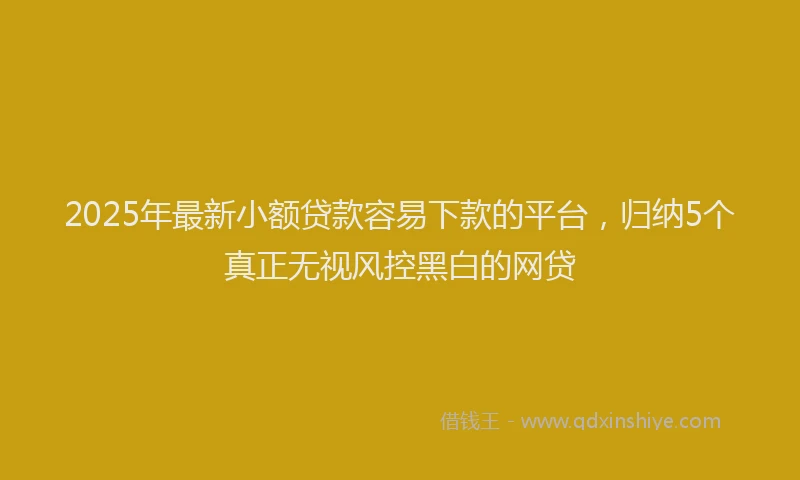 2025年最新小额贷款容易下款的平台，归纳5个真正无视风控黑白的网贷