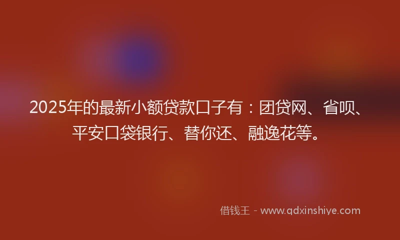 2025年的最新小额贷款口子有：团贷网、省呗、平安口袋银行、替你还、融逸花等。