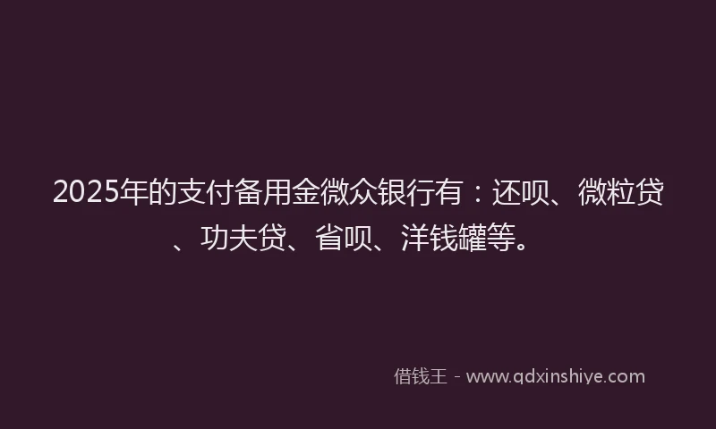 2025年的支付备用金微众银行有：还呗、微粒贷、功夫贷、省呗、洋钱罐等。