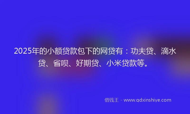 2025年的小额贷款包下的网贷有：功夫贷、滴水贷、省呗、好期贷、小米贷款等。