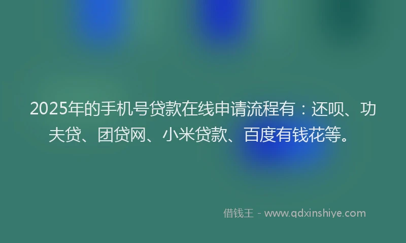 2025年的手机号贷款在线申请流程有：还呗、功夫贷、团贷网、小米贷款、百度有钱花等。