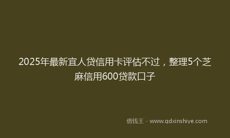 2025年最新宜人贷信用卡评估不过，整理5个芝麻信用600贷款口子