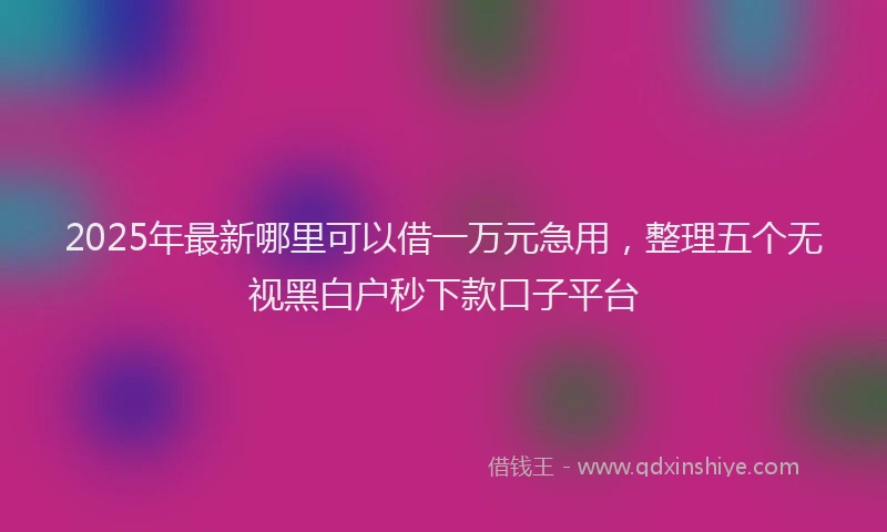 2025年最新哪里可以借一万元急用，整理五个无视黑白户秒下款口子平台