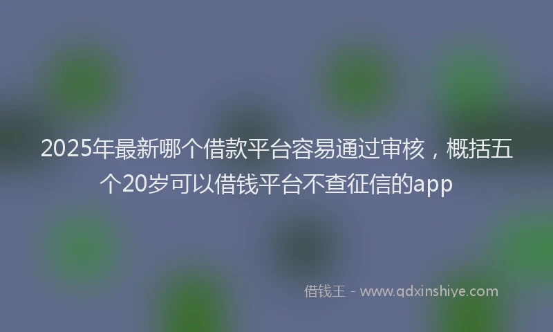 2025年最新哪个借款平台容易通过审核，概括五个20岁可以借钱平台不查征信的app