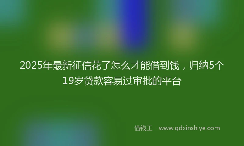 2025年最新征信花了怎么才能借到钱，归纳5个19岁贷款容易过审批的平台