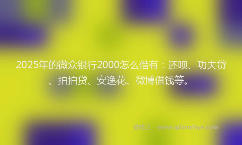 2025年的微众银行2000怎么借有：还呗、功夫贷、拍拍贷、安逸花、微博借钱等。