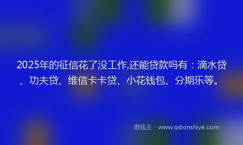 2025年的征信花了没工作,还能贷款吗有：滴水贷、功夫贷、维信卡卡贷、小花钱包、分期乐等。