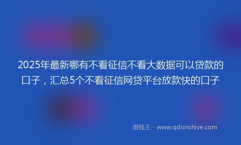 2025年最新哪有不看征信不看大数据可以贷款的口子，汇总5个不看征信网贷平台放款快的口子