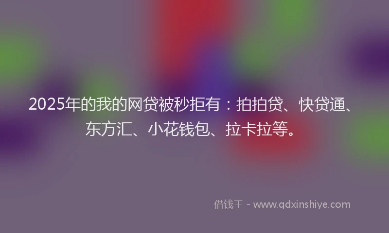 2025年的我的网贷被秒拒有：拍拍贷、快贷通、东方汇、小花钱包、拉卡拉等。