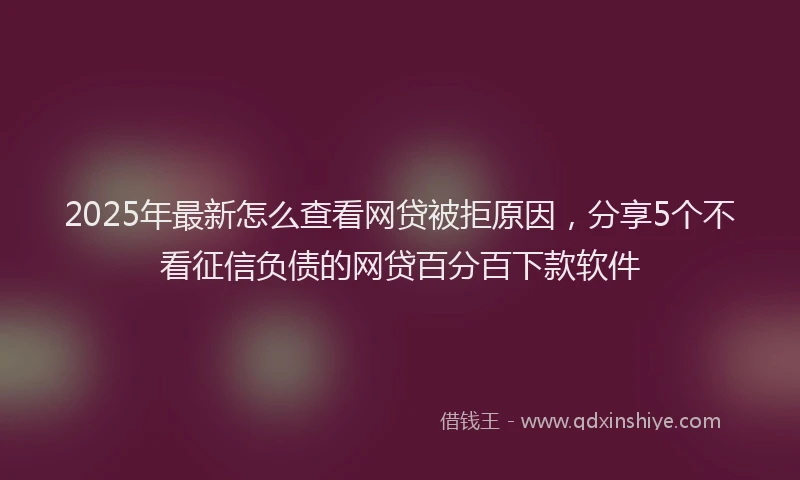 2025年最新怎么查看网贷被拒原因，分享5个不看征信负债的网贷百分百下款软件