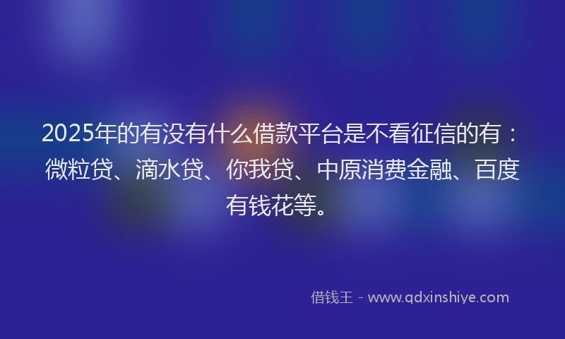 2025年的有没有什么借款平台是不看征信的有：微粒贷、滴水贷、你我贷、中原消费金融、百度有钱花等。