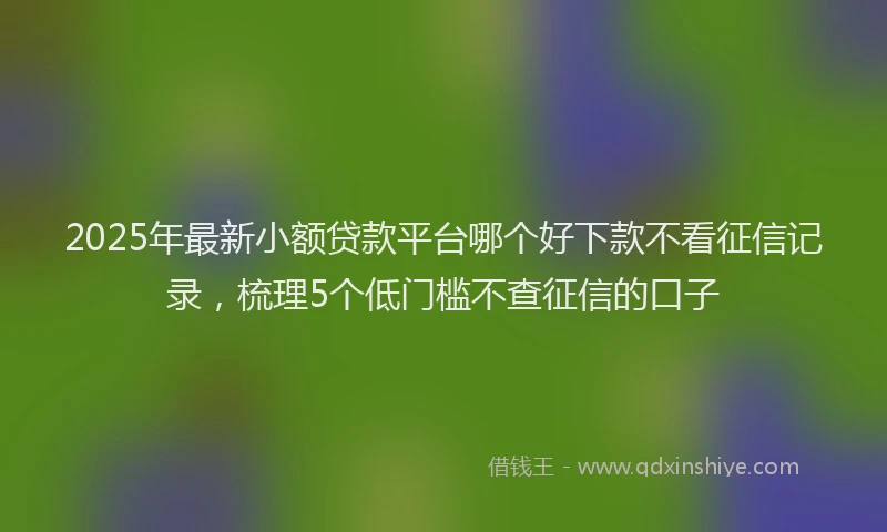 2025年最新小额贷款平台哪个好下款不看征信记录，梳理5个低门槛不查征信的口子