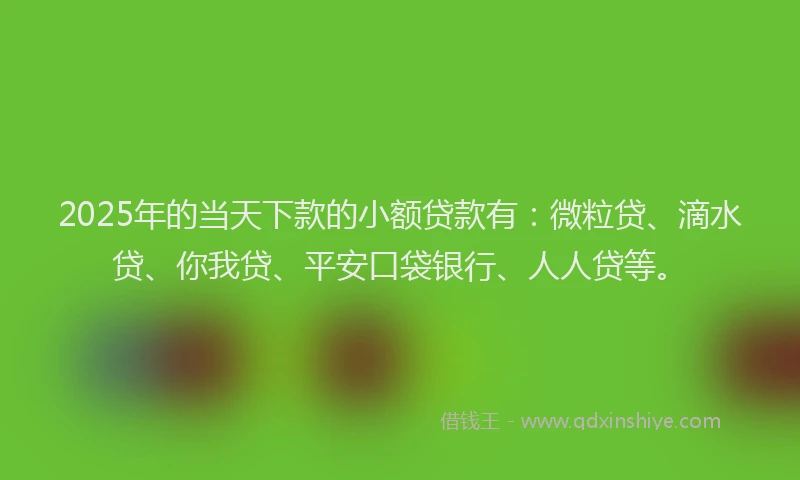 2025年的当天下款的小额贷款有：微粒贷、滴水贷、你我贷、平安口袋银行、人人贷等。