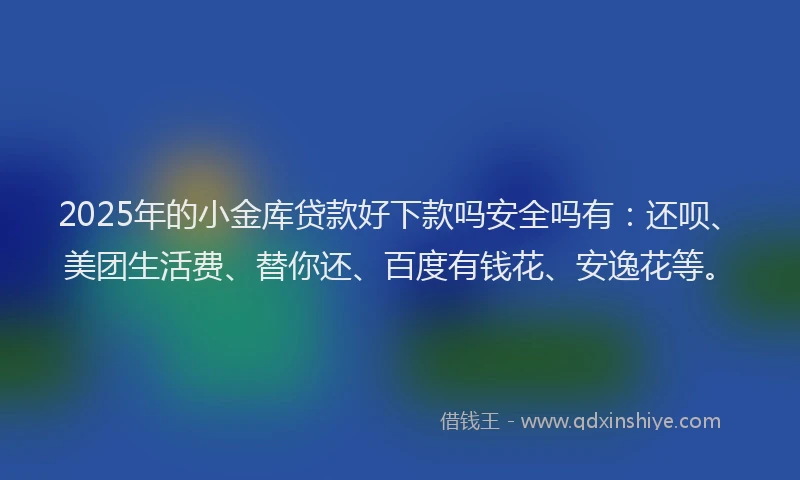 2025年的小金库贷款好下款吗安全吗有：还呗、美团生活费、替你还、百度有钱花、安逸花等。