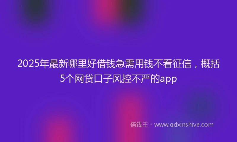 2025年最新哪里好借钱急需用钱不看征信，概括5个网贷口子风控不严的app