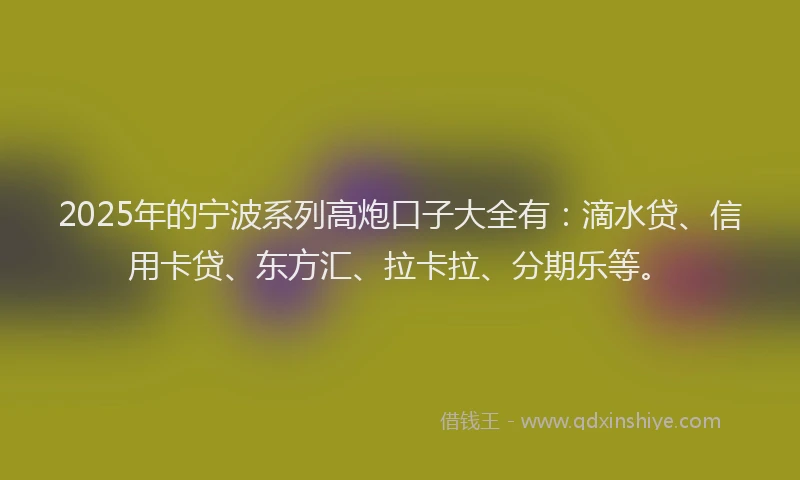 2025年的宁波系列高炮口子大全有：滴水贷、信用卡贷、东方汇、拉卡拉、分期乐等。