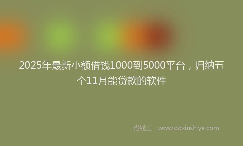 2025年最新小额借钱1000到5000平台，归纳五个11月能贷款的软件