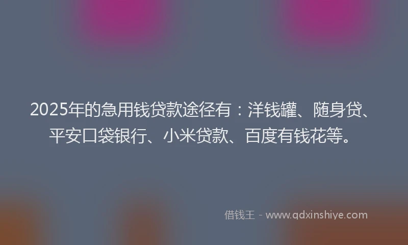 2025年的急用钱贷款途径有：洋钱罐、随身贷、平安口袋银行、小米贷款、百度有钱花等。