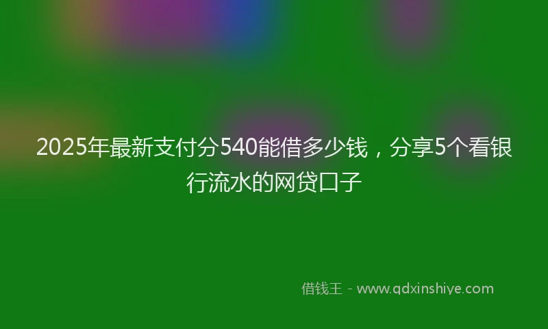2025年最新支付分540能借多少钱，分享5个看银行流水的网贷口子