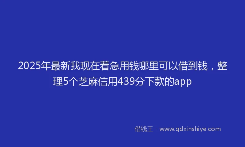 2025年最新我现在着急用钱哪里可以借到钱，整理5个芝麻信用439分下款的app