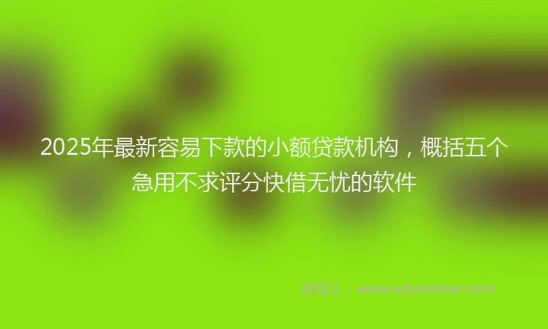 2025年最新容易下款的小额贷款机构，概括五个急用不求评分快借无忧的软件