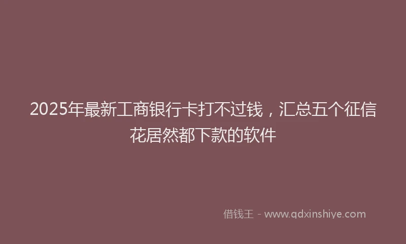 2025年最新工商银行卡打不过钱，汇总五个征信花居然都下款的软件
