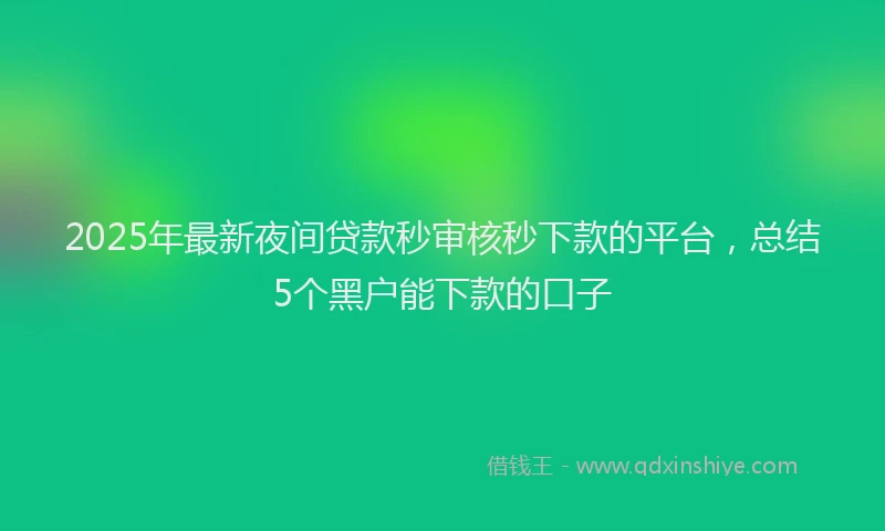 2025年最新夜间贷款秒审核秒下款的平台，总结5个黑户能下款的口子