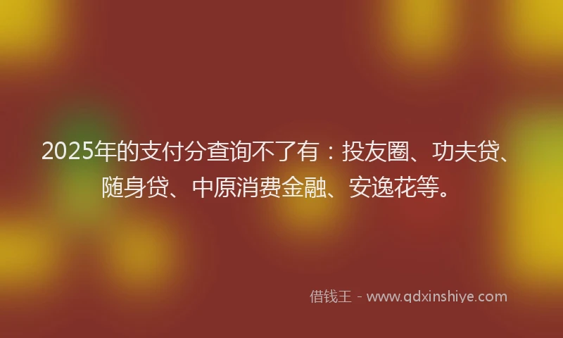 2025年的支付分查询不了有：投友圈、功夫贷、随身贷、中原消费金融、安逸花等。