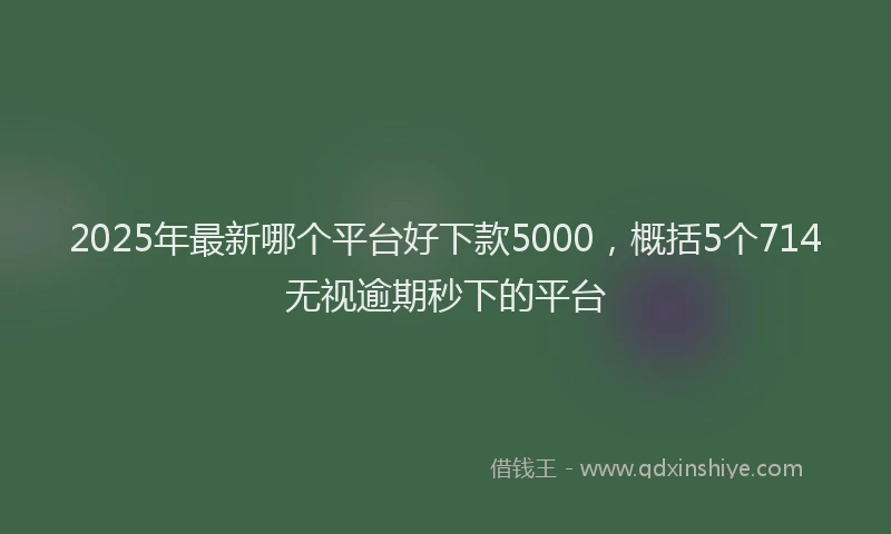 2025年最新哪个平台好下款5000，概括5个714无视逾期秒下的平台