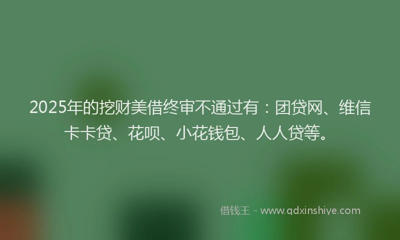 2025年的挖财美借终审不通过有：团贷网、维信卡卡贷、花呗、小花钱包、人人贷等。