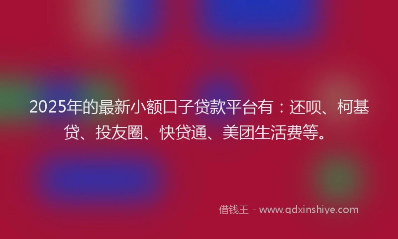 2025年的最新小额口子贷款平台有：还呗、柯基贷、投友圈、快贷通、美团生活费等。