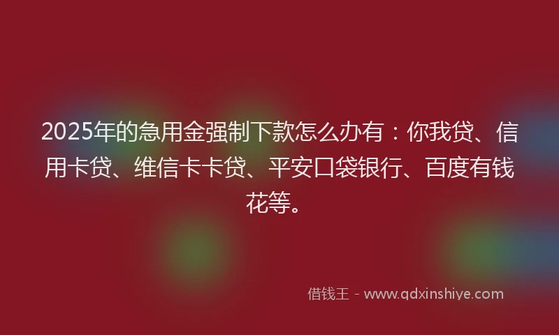 2025年的急用金强制下款怎么办有：你我贷、信用卡贷、维信卡卡贷、平安口袋银行、百度有钱花等。