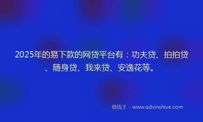 2025年的易下款的网贷平台有：功夫贷、拍拍贷、随身贷、我来贷、安逸花等。