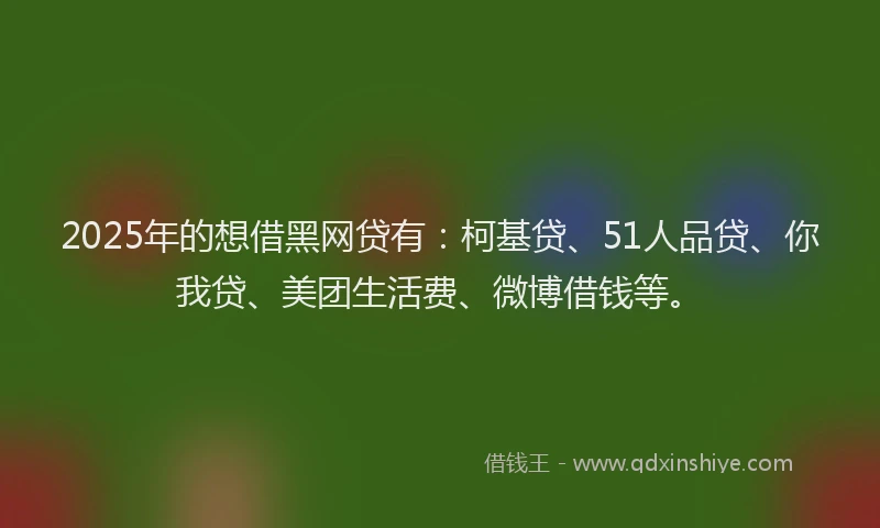 2025年的想借黑网贷有：柯基贷、51人品贷、你我贷、美团生活费、微博借钱等。