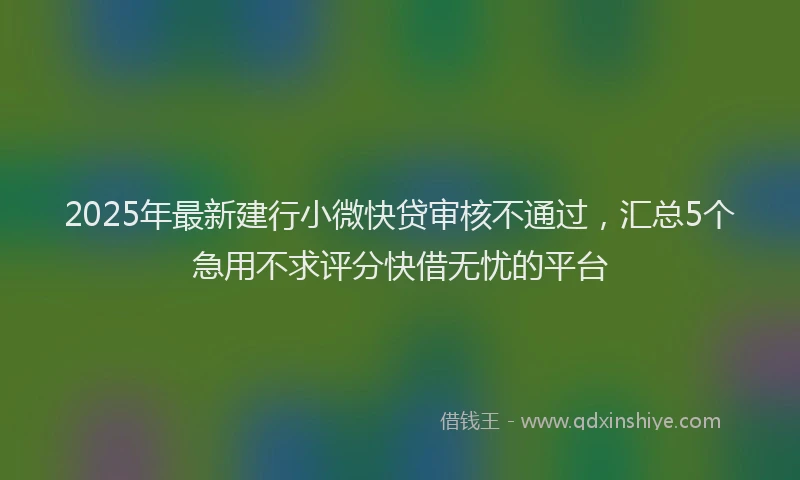 2025年最新建行小微快贷审核不通过，汇总5个急用不求评分快借无忧的平台