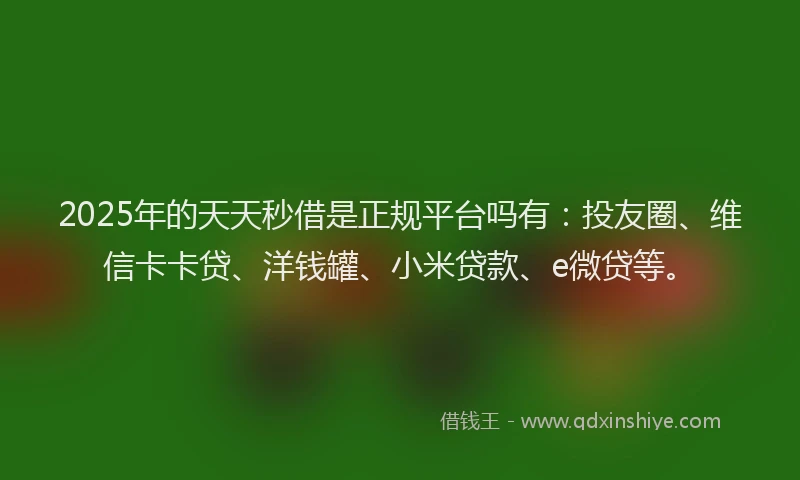 2025年的天天秒借是正规平台吗有：投友圈、维信卡卡贷、洋钱罐、小米贷款、e微贷等。