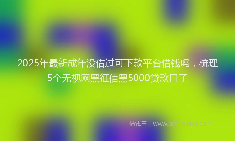 2025年最新成年没借过可下款平台借钱吗，梳理5个无视网黑征信黑5000贷款口子