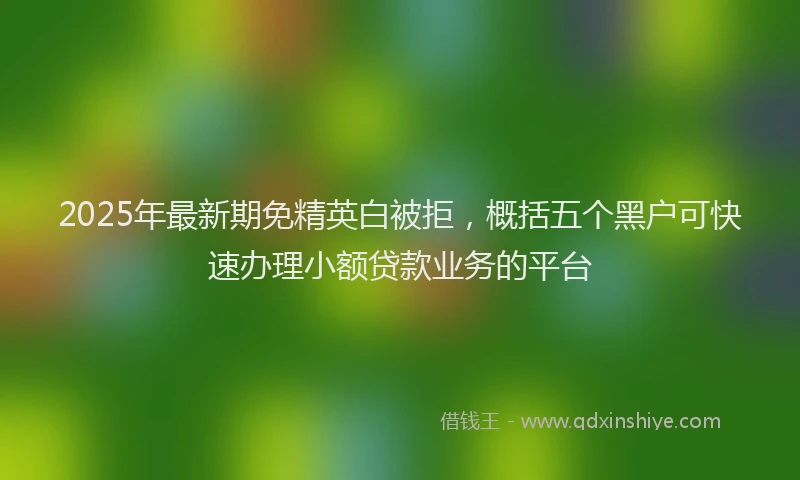 2025年最新期免精英白被拒，概括五个黑户可快速办理小额贷款业务的平台
