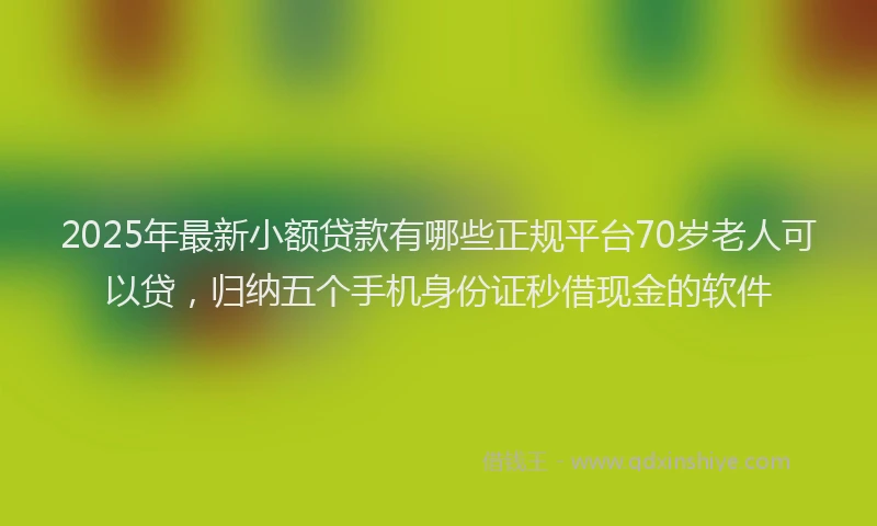 2025年最新小额贷款有哪些正规平台70岁老人可以贷，归纳五个手机身份证秒借现金的软件