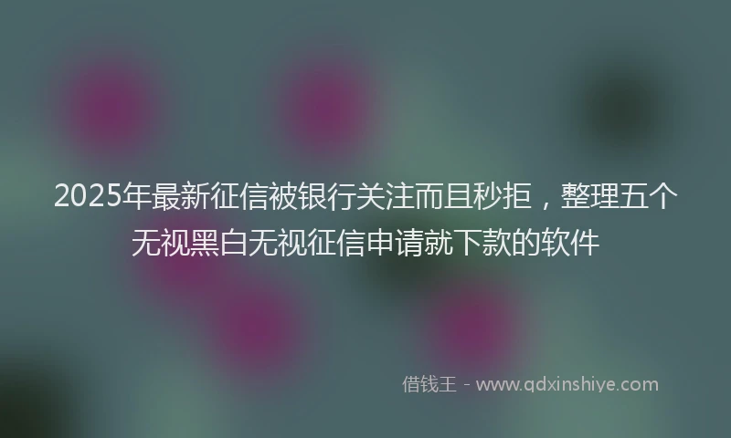 2025年最新征信被银行关注而且秒拒，整理五个无视黑白无视征信申请就下款的软件
