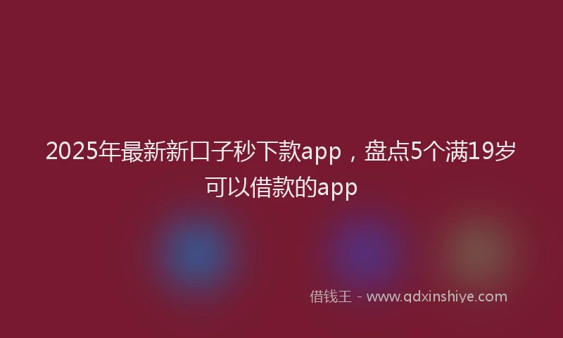 2025年最新新口子秒下款app，盘点5个满19岁可以借款的app